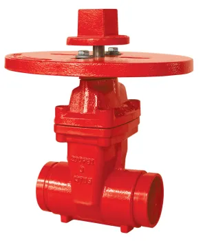 200psi Nrs Type Grooved End Gate Valve