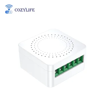 Cozylife BSD17 WiFi Mesh Smart Switch with Firmware Customization (No Energy Monitor, 10A)