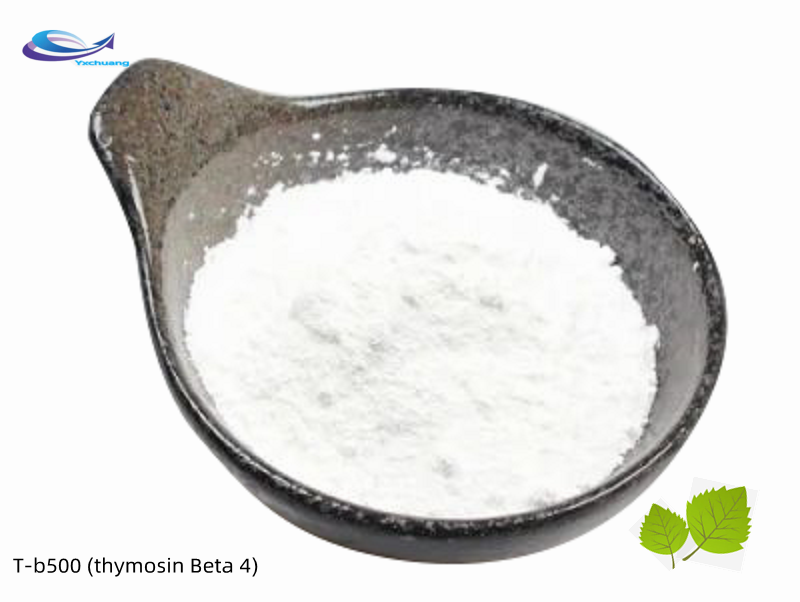 T-b500 (thymosin Beta 4) application