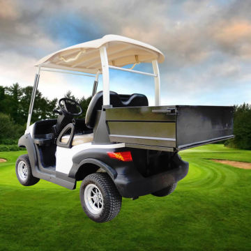 EG Chinese 2 Seater Garden Electric Mini Utility Golf Cart