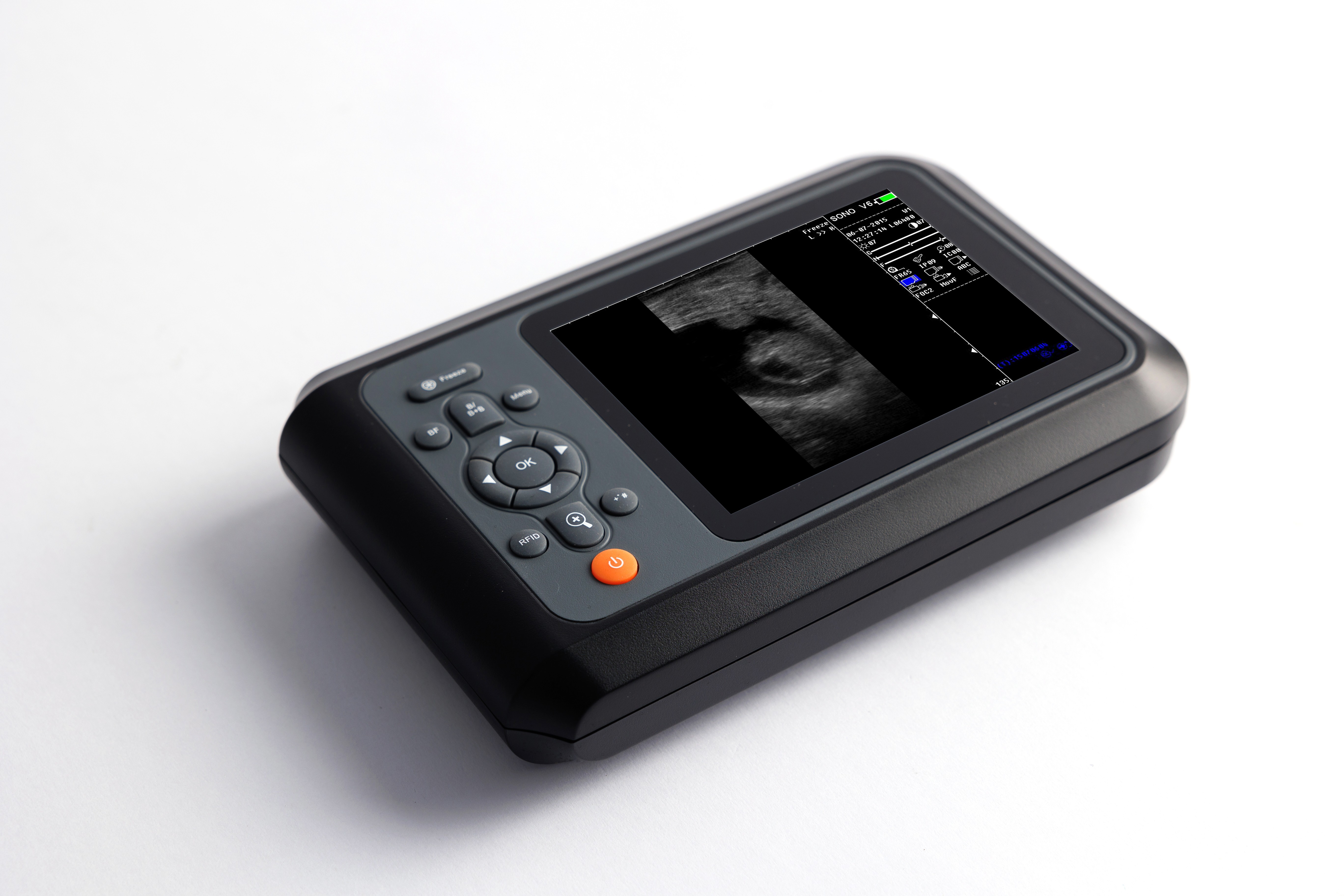 animal ultrasound