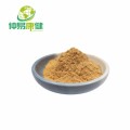 Instant White Tea Powder White Tea Extract Powder