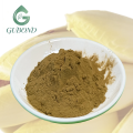 Polvo de extracto de achicoria para suplementos dietéticos