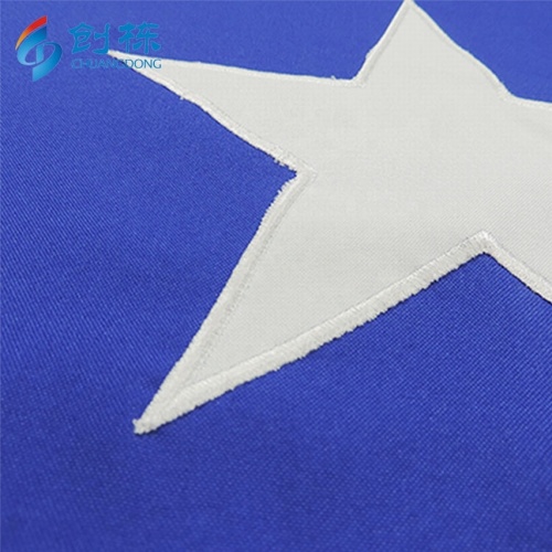 Chuangdong Flying Cheap Promotional Chilean Flag