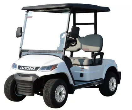 LVTONG 48V 2-Seater Electric Golf Cart