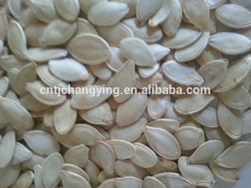 pumpkin seed