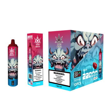 Wholesale Electronic Cigarette Bang Beach 22000 Puffs