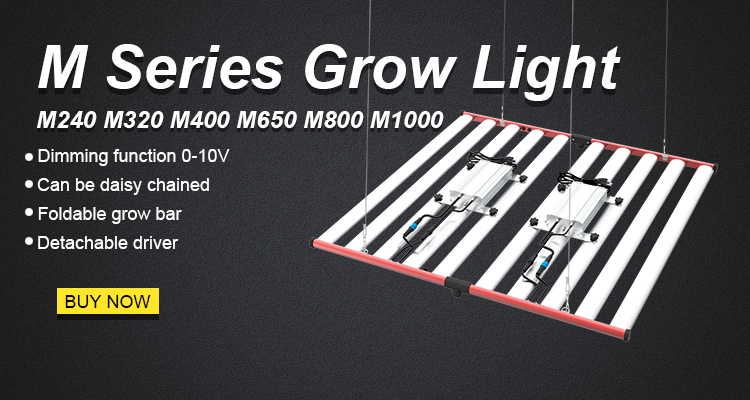1000 watt led grow light