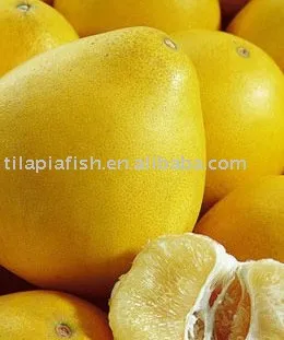 Low price honey Pomelo