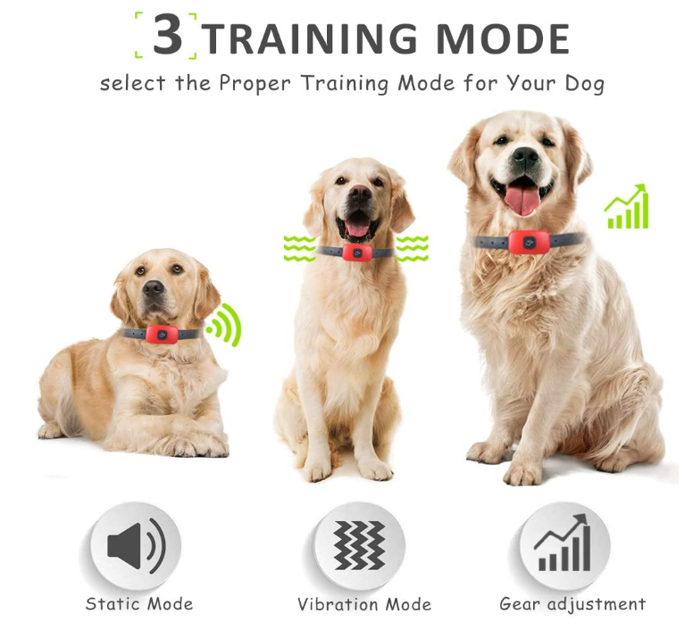 Puppy Training Shock Collar