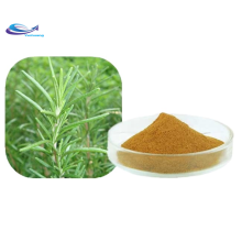 Rosemary Extract CAS3650-09-7 Carnosic Acid