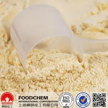 Supply Soya Isolate Protein For Meat Processing