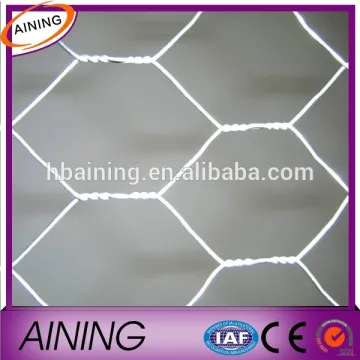 1/4" chicken wire/Hot Dipped Chicken Wire/chicken coop wire fencing