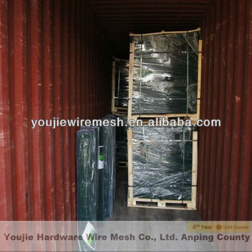 1"x2" pvc coated welded mesh (Youjie manufacturer)