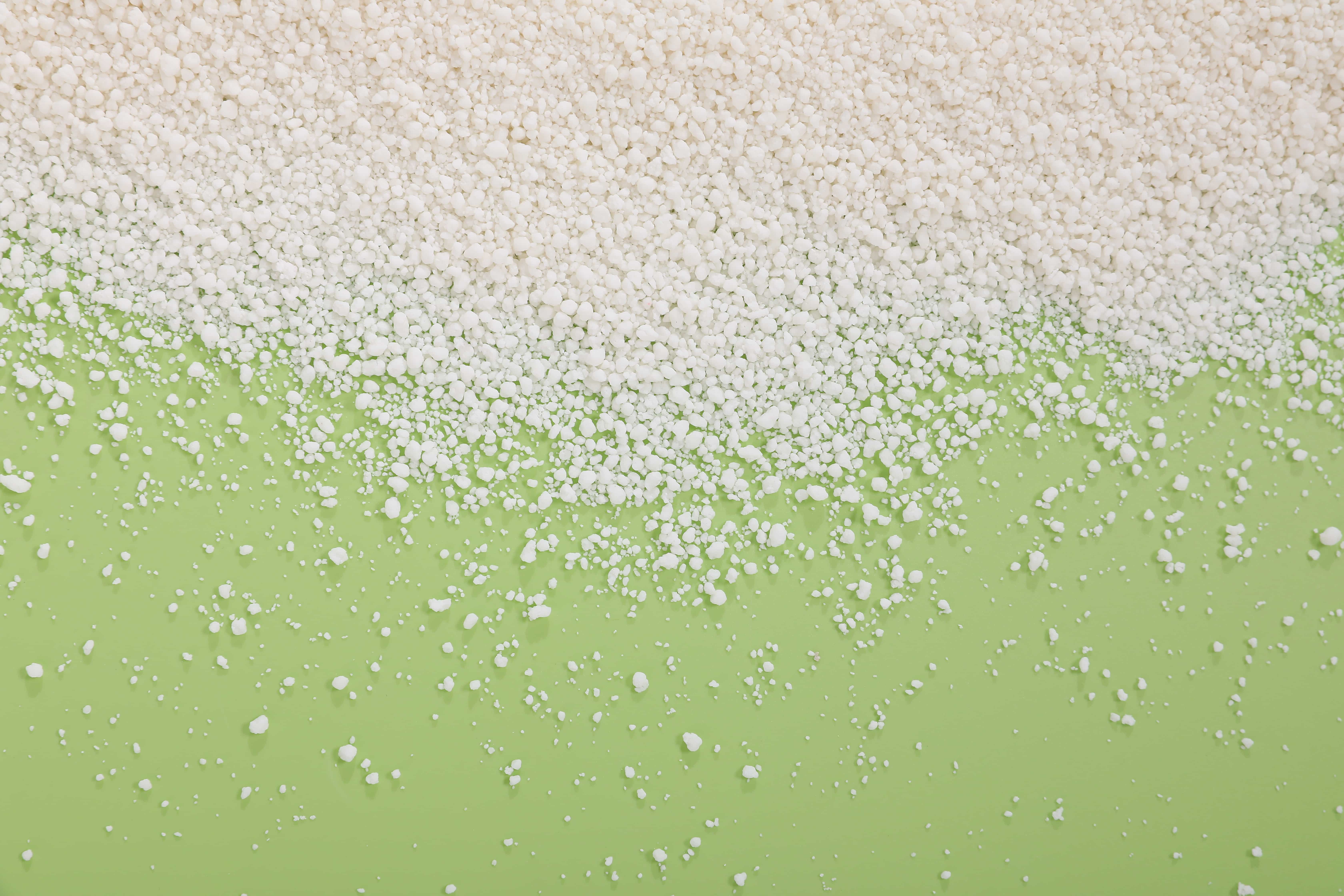 Biodegradable Cassava Cat Litter for Sustainable Living