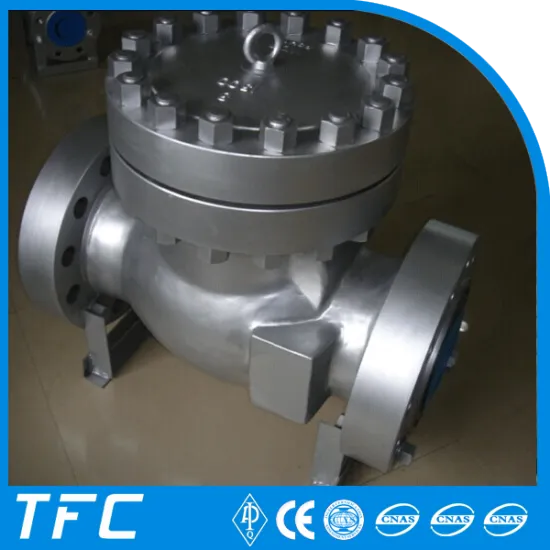 non slam non return valve supplier