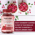 التوت البري Gummies المسالك البولية الدعم صحة النساء المثانة