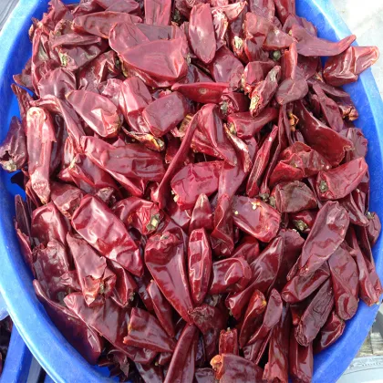American Red Dried Yidu Chilies