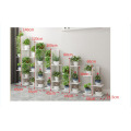 Customization Flower Display Rack Wood Plant Shelf