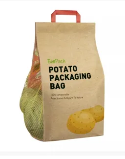 Customized Biodegradable Kraft Paper Side Mesh Vision Fresh Paper Bags
