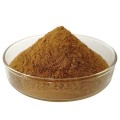 lose weight cassia angustifolia seed extract