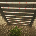 Hydroponic 1000W Growing Lights For Plants Indoor