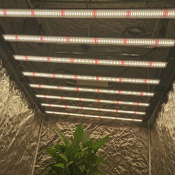 Hydroponic 1000W Luces de crecimiento para plantas en interiores