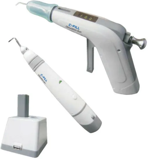 Dental Gutta Percha Obturation