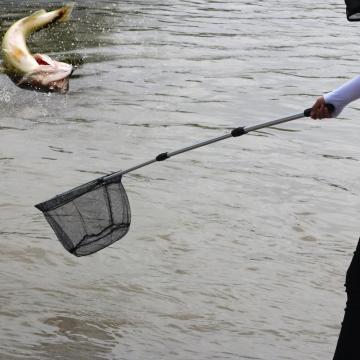 Telescopic Folding Handing Nets Freshwater Saltwater Fishing Tackle Tool Net