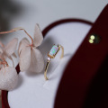 /msite/products/detail/productid/64257088/id/1522398.html