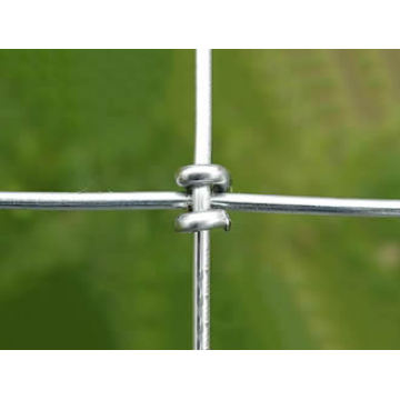 Galvanized Steel Wire Horse Fence Mesh / Pertanian Pagar