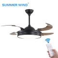 Simple fashion black color ceiling fan with light