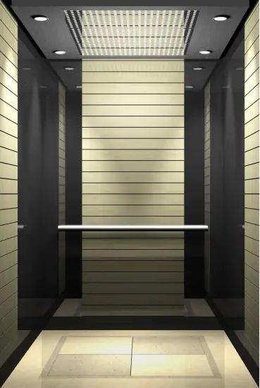 Safe And Stable Passenger Elevator