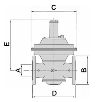 Industrial Gas Pressure Regulator with Built-in Filter Unit: Italy Giuliani FS1B65-DN65 Anello Valve