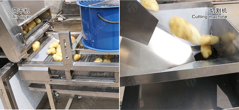 Potato Washing Peeling Drying Cutting Line