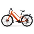 Individuelles Elektrofahrrad mit Beifahrersitz