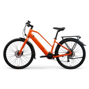 Bicicleta elétrica personalizada com banco de passageiro