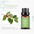 두통을위한 순수한 자연 식물 Wintergreen Essencial Oil