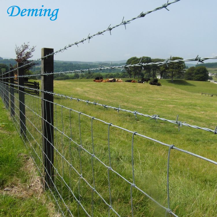 Factory Price 25kgs Galvanized Barbed Fencing Wire