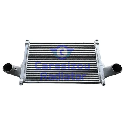 Truck Engine Intercooler Assembly M4119302012A0