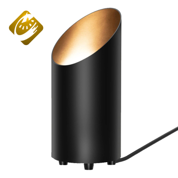 Modern Black Aluminum Floor Lamp with AC110-240V for Indoor Use