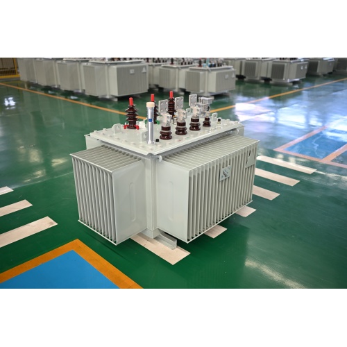 S20-M-800 10KV Oil Immersed Power Transformer
