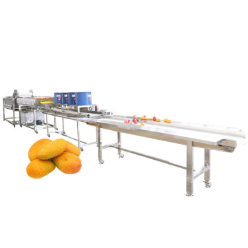 VBJX Commercial Mele Olive Olive Vegetable Washing Machine &amp; Peeler Line con ozono
