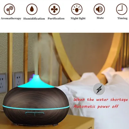 Mini Rechargeable Spa Aromatherapy Humidifier