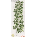 72 "Ivy Argélica Artificina Garland