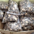 Quality Dehydrated Shiitake Mushrooms