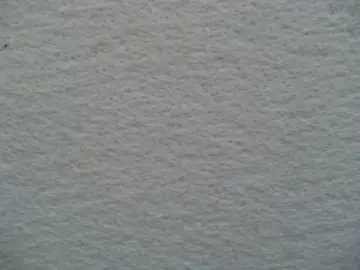 Corrugated Paper Belt