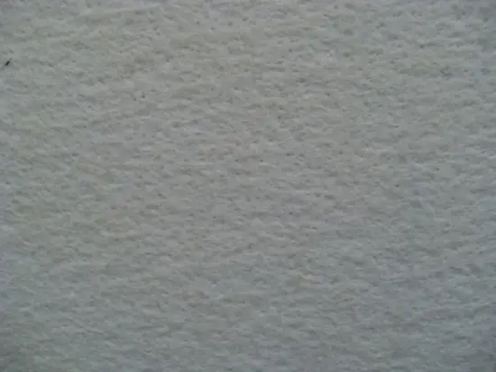 Corrugated Paper Belt