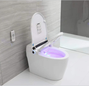 Western Automatic Flushing Floor-Mounted Smart Toilet Seat with Bidet WC