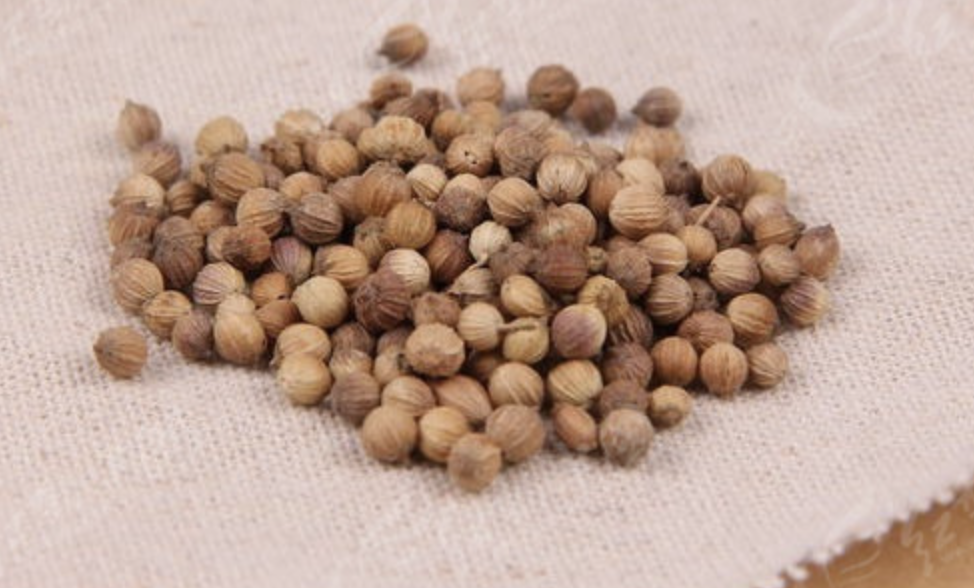 Coriander Extract Bulk Powder